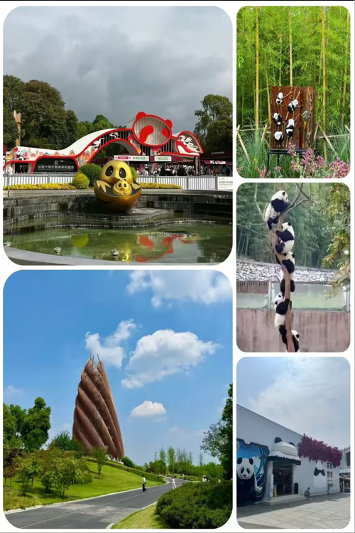 Chengdu Panda Base