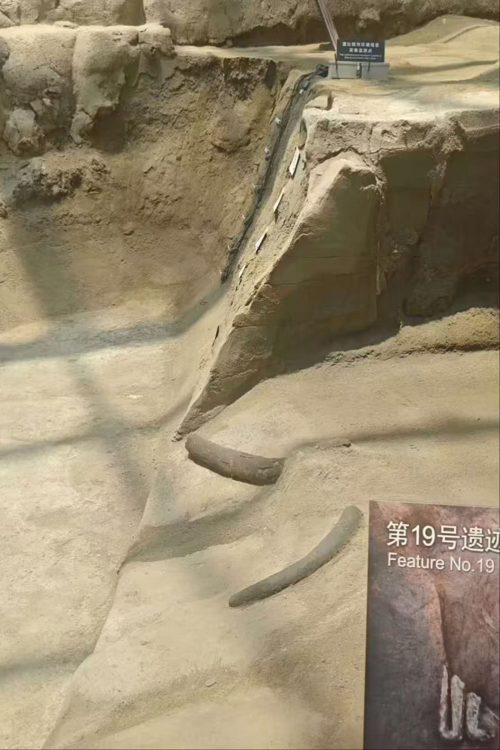 Jinsha archaeological site