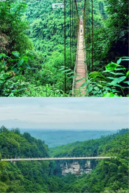 Qionglai Bamboo Sea Scenic Area