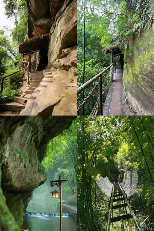 Western Sichuan Bamboo Sea