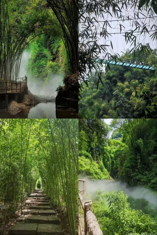 Qionglai Bamboo Sea landscape