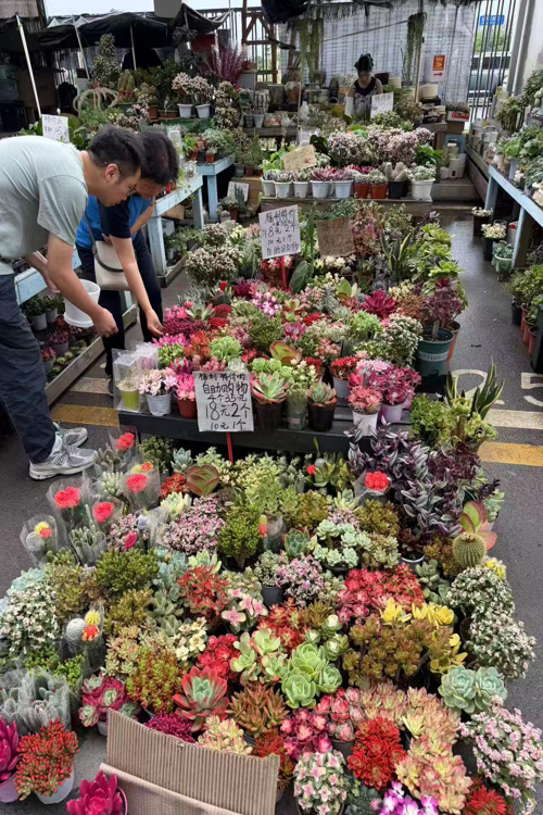 Sansheng Flower Township countryside