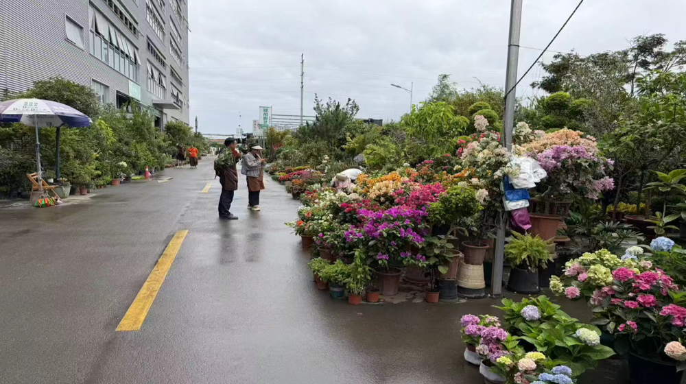Sansheng Flower Township scenery